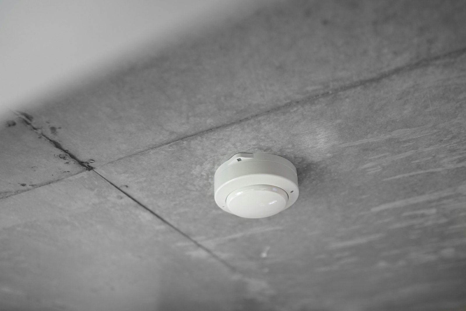 Fire Sprinkler