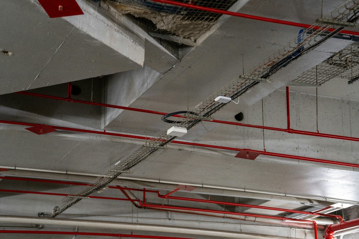 Fire Sprinkler